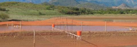 Breeding ponds